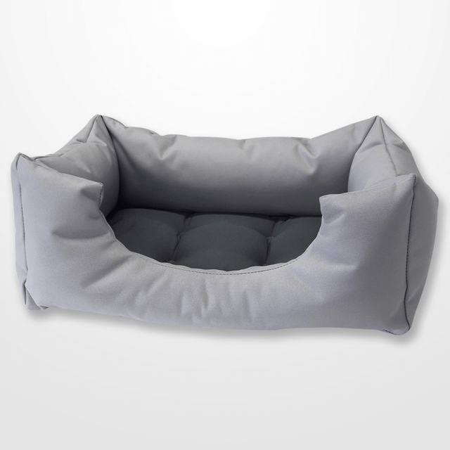 anarchit színekben pompázó kutyafekhely