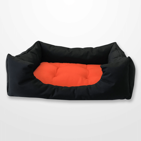 fekete kutyafekhely terrakotta párnával