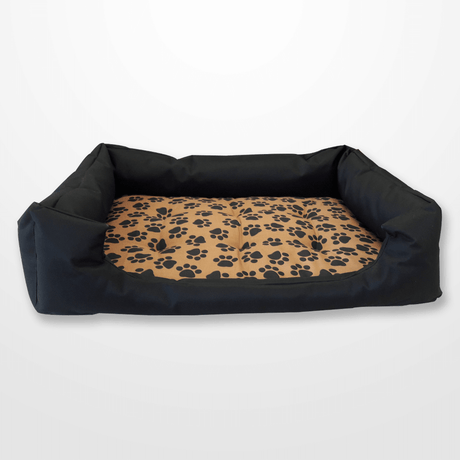 barna tappancsos kutyafekhely