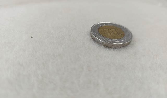 Kutyamatrac / Polár-Bézs | Fekete / 110*80 cm