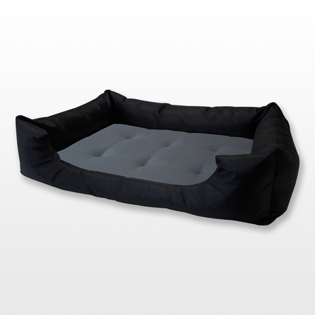 kutyafekhely nagy szürke